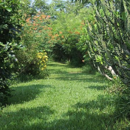 Maylyn Guesthouse Vang Vieng Bagian luar foto