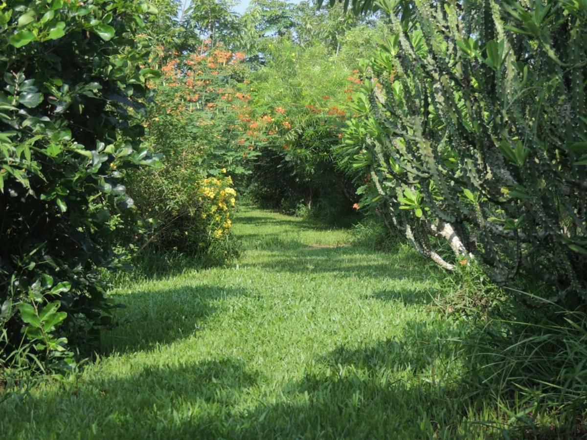 Maylyn Guesthouse Vang Vieng Bagian luar foto